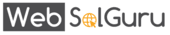 WebSolGuru